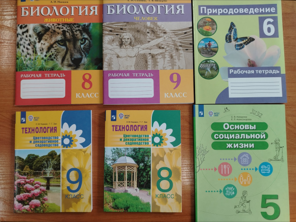 1 (12).jpg